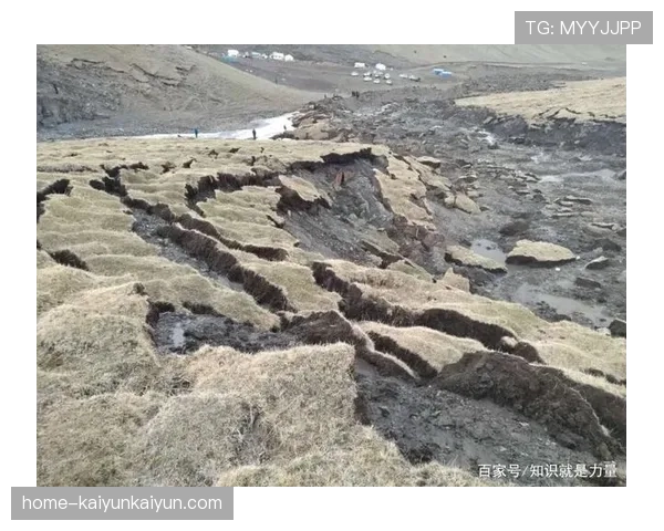 气候变暖如何影响法国南部球队的草坪质量与赛程